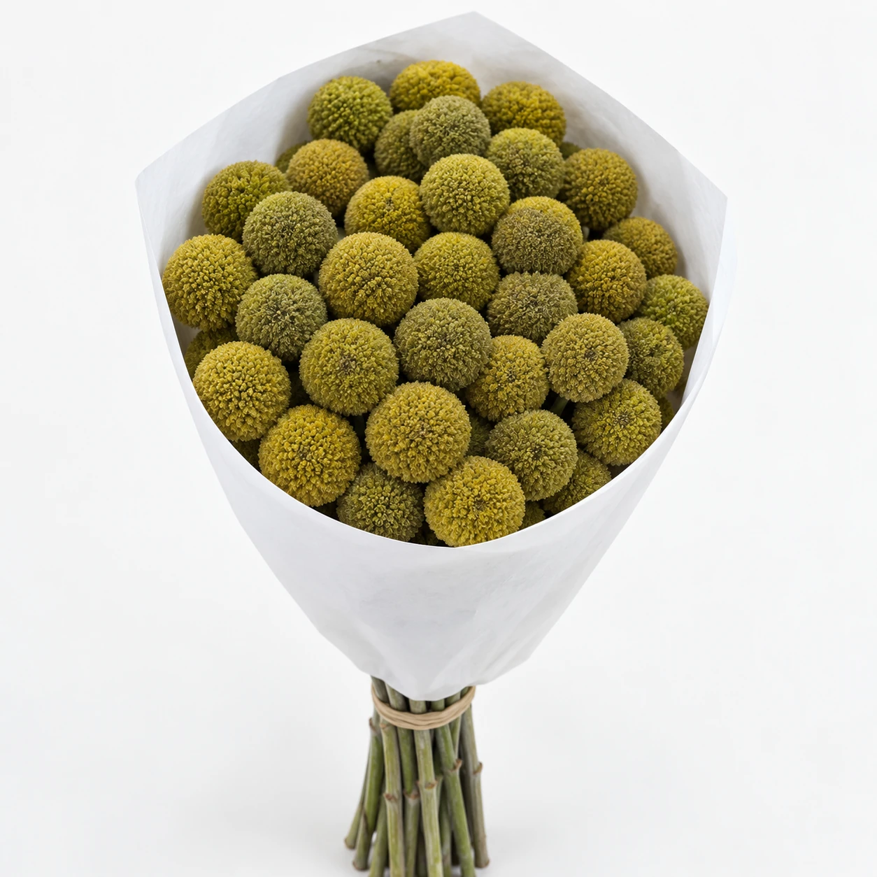 필러 플라워 · 노란색 · Golden Ball · 노란색 (PH0433)