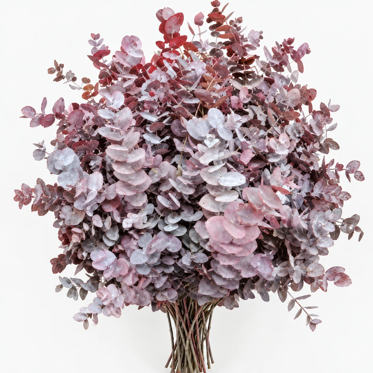 Eucalyptus Artificial Burgundy (YE0288)