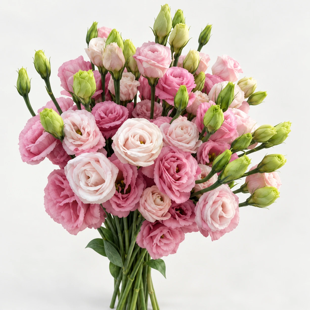 Lisianthus · Pembe (YG0249)