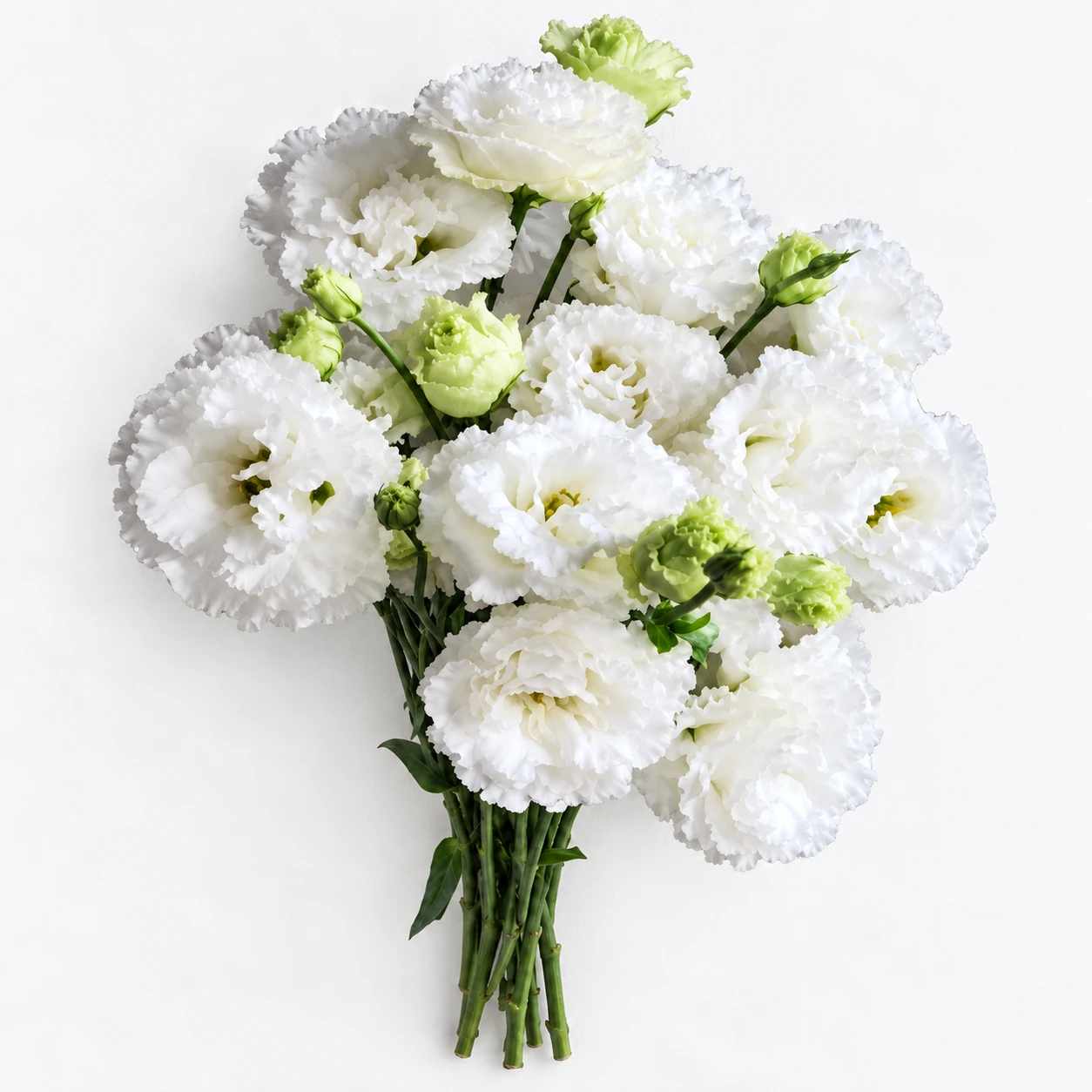 Gül · Ak · Eustoma Voyage (YG0254)