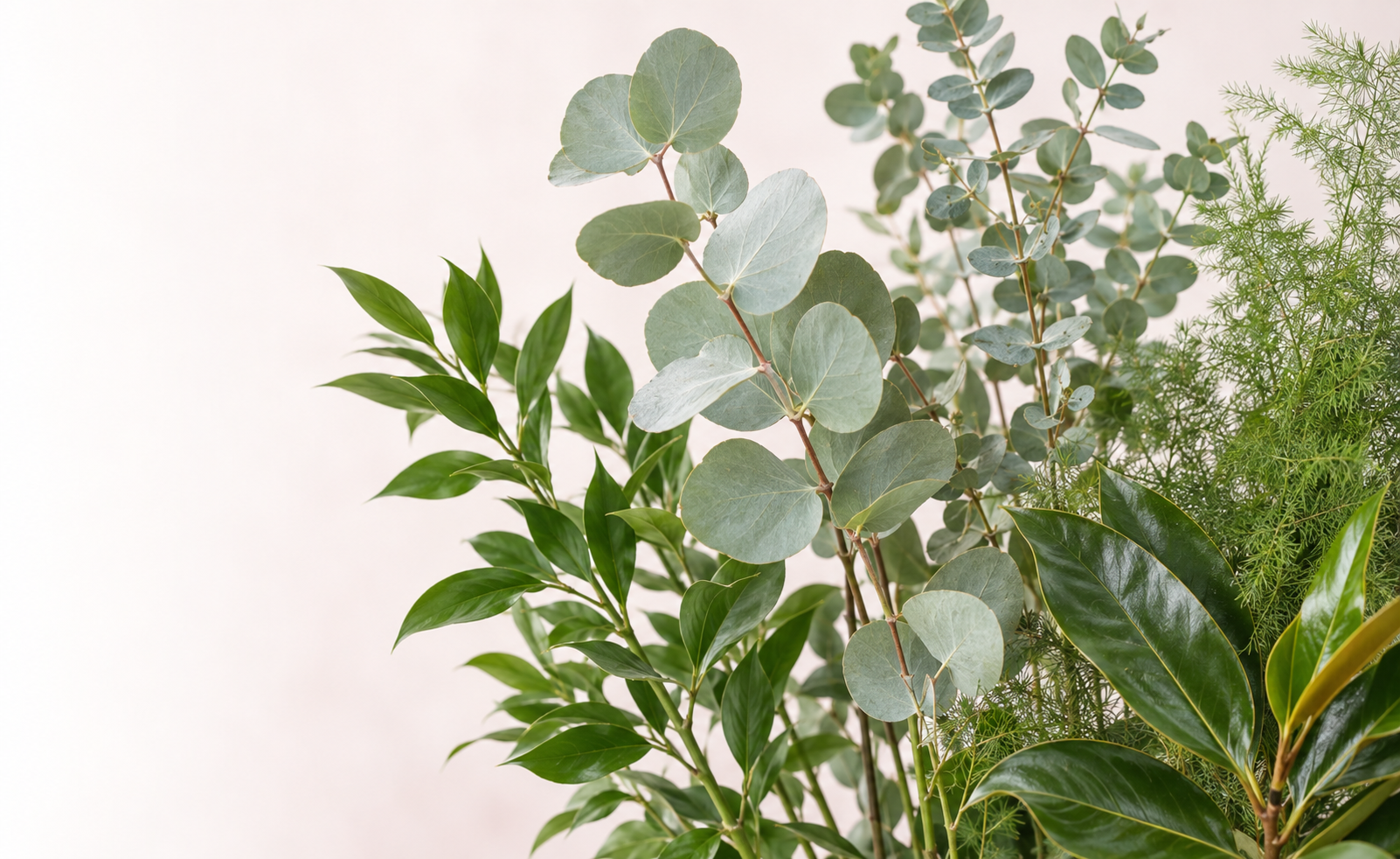 Greenery & Eucalyptus collection