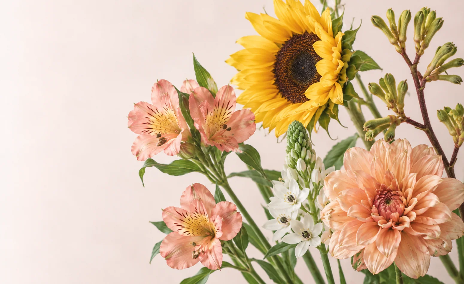 Seasonal Flowers