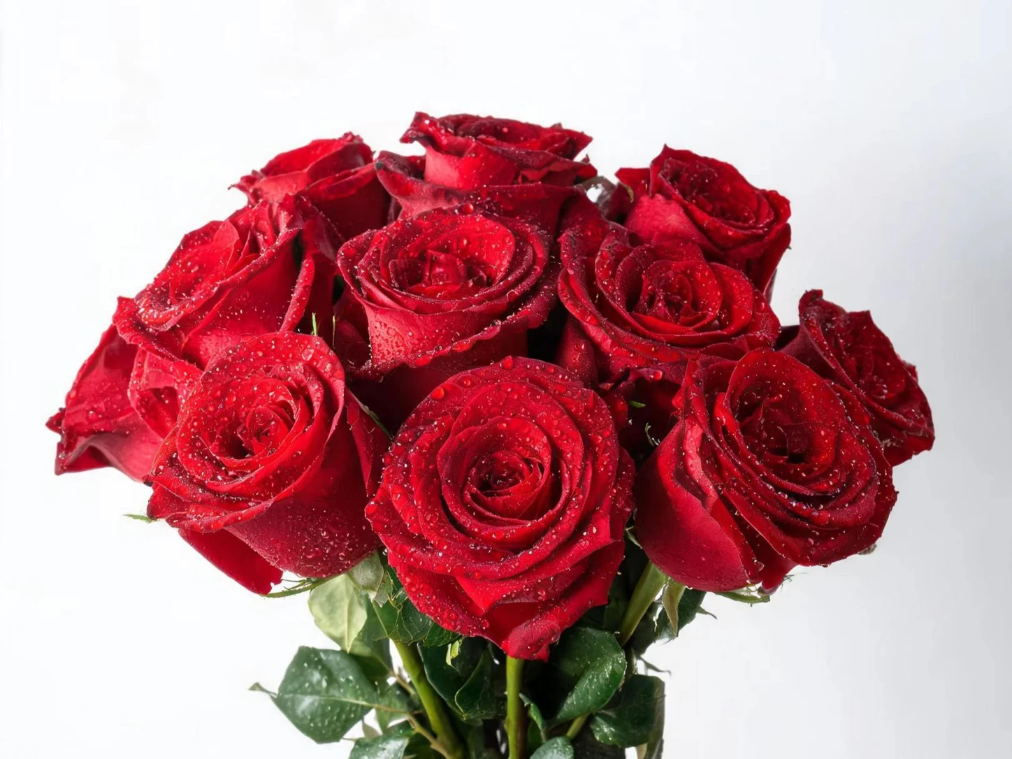 Roses